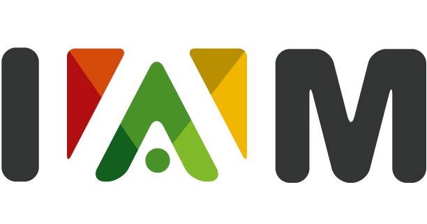 Institut Africain de Management